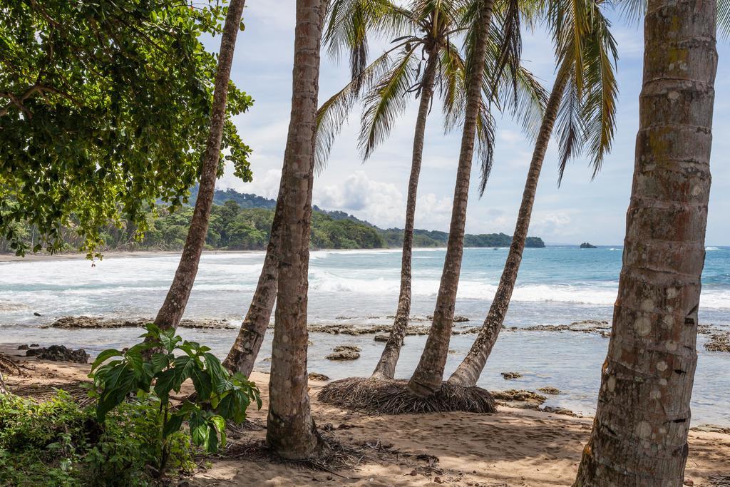 Relax Natural Village Adults Only Puerto Viejo de Talamanca Exterior foto